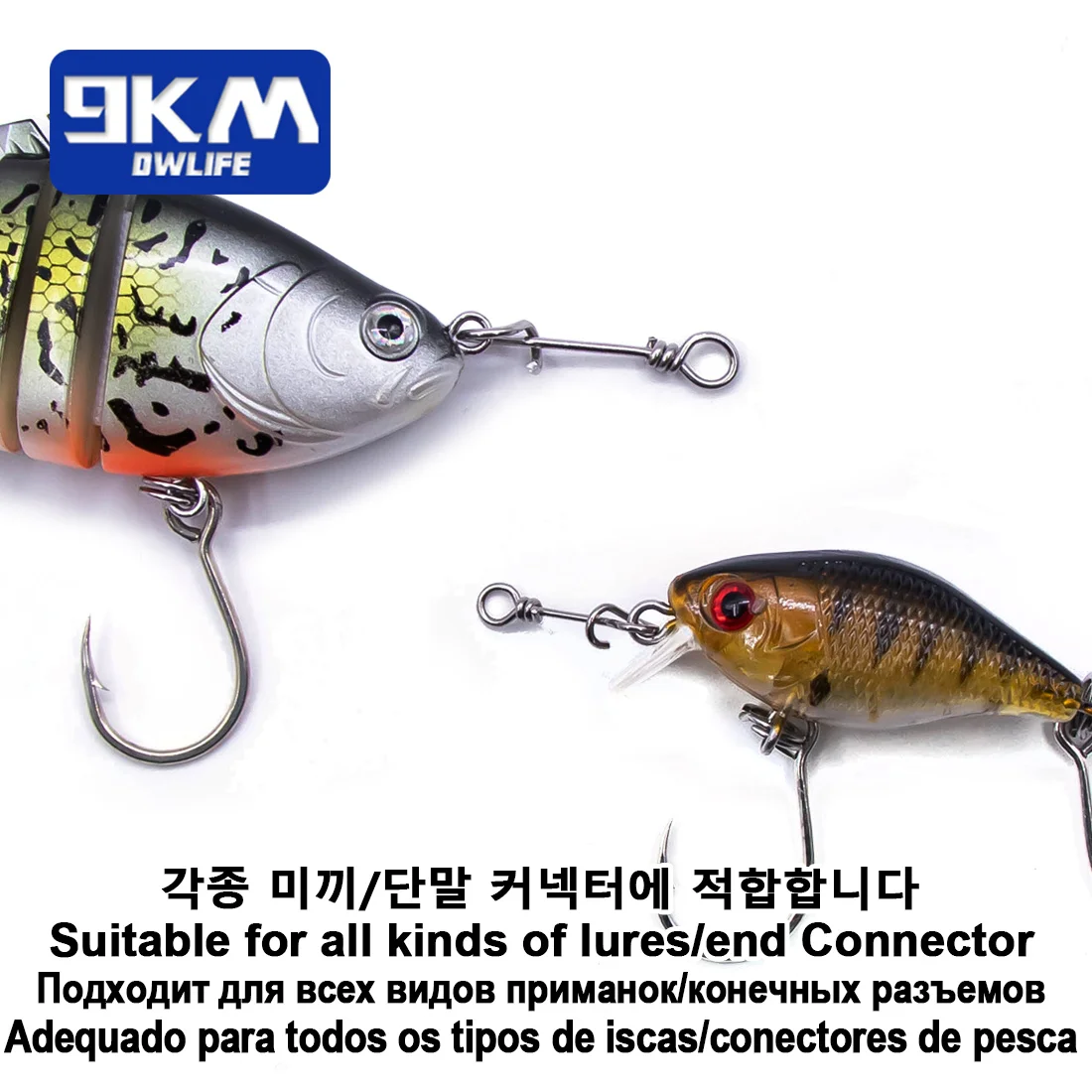 Pesca A Spinning Leggero In Mare: Tecniche, Esche E Consigli – Demon Occhiali - Foto 9