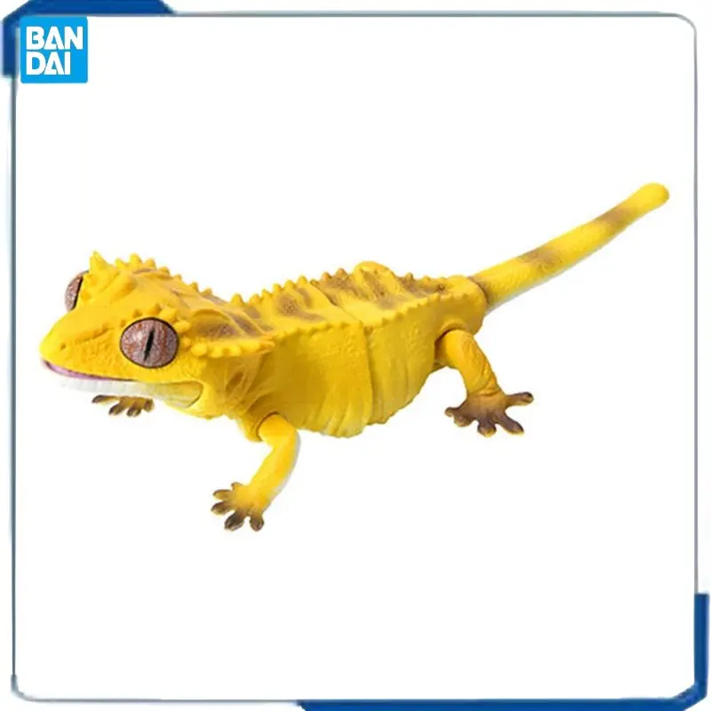 

Genuine Bandai Simulated Lizard Palace Guarding Model A Guide To Biology Correlophus Ciliatus Lizard Gecko Kids Brinquedos