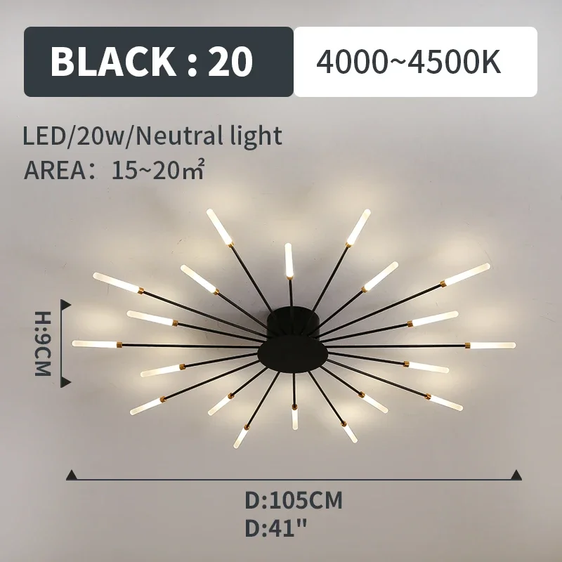 black 20 lights