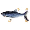 Cat Toy Fish Interactive Electric Floppy Fish USB Charger Cat Toy Realistic Pet Cats Chew Bite Toys Pet Supplies Cats Dog Toys 1