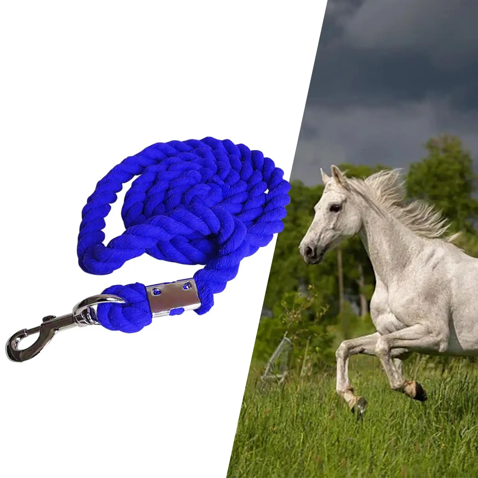 Webbing Horse Lead Rope, Horse Leading Rope, Durable for Livestock Accessories, Equestrian Rein Halters Braided Rope