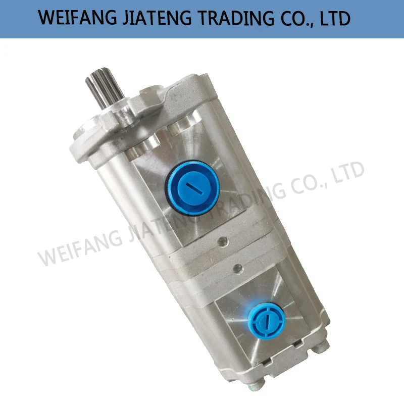 Double Gear Pump for Foton Lovol Series Tractor, TD2S581010001, 32 + 20 saemp shanghai hangfa nb2 nbz2 nbt3 nt2 g10f g12f g16f nt3 g20f g25f g32f series internal gear pump nb2 g16f