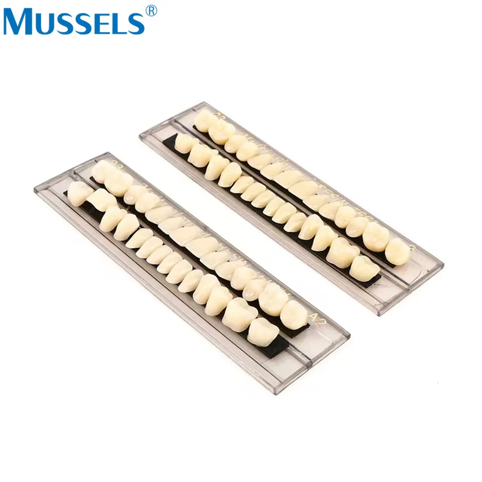 Fausses Dents Complètes Synthétiques - Prothèse Dentaire De Couleur Naturelle, Neuve