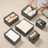 Foldable Clothes Organizer Removable Storage Bag Closet Non-Woven Organizer Lingerie Divider For Panty Stocking TightsBraStorage 2