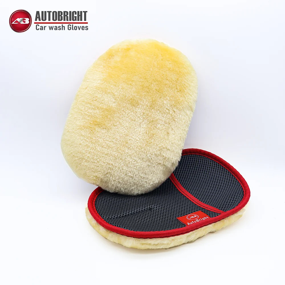 AUTOBRIGHT 2-Pack Microfiber Car Wash Gloves Non Scratch Extra Thick Dense Plush Detailing Mitt for Auto SUV Truck Cleaning