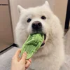 Pet Cotton Rope Slipper Knot Toy For Small Dogs Interactive Chew Toy Dental Clean Teeth Grind Tartar Control Non Toxic Dog Toys 5
