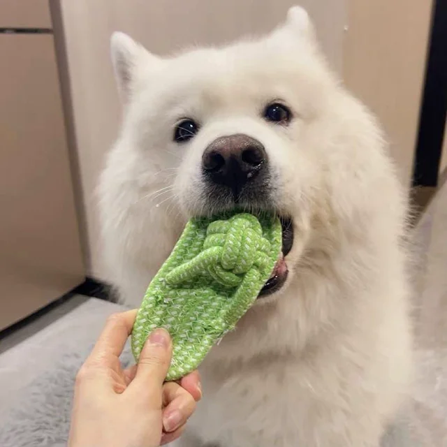 Pet Cotton Rope Slipper Knot Toy For Small Dogs Interactive Chew Toy Dental Clean Teeth Grind Tartar Control Non Toxic Dog Toys 5