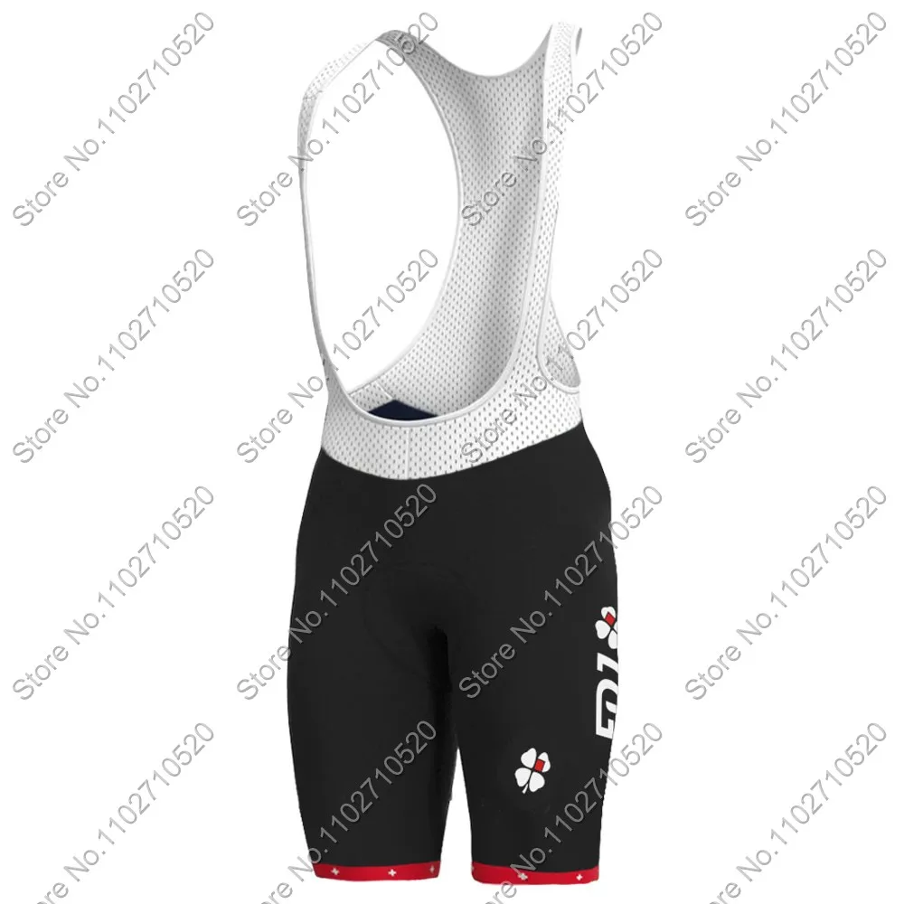 FDJ サイクルジャージ ビブショーツ セット スーツ Fdj スイスチームサイクリングジャージセット 2025 メンズ