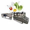 Vegetable Fruit Bubble Washer Industrial Banana Small Vegetable Washing Machine 3