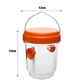 Orange-1pc