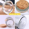 Decorative Glass Bottle with Cork Stopper 100ml Clear Glass Bottle with Cork Stoppers Pudding Jars 3.4oz Mini Yogurt Mason Jar 4