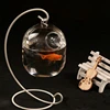 Suspended Transparent Hanging Glass Fish for Tank Bottle Aquarium Flowe 3