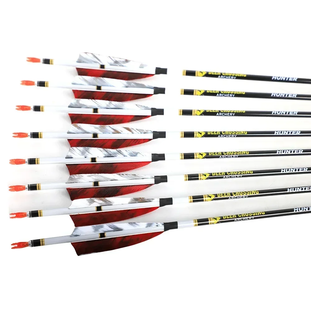 6.2 Carbon Arrows – Spine 300–800 3