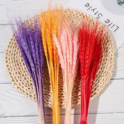 25pcs Real Wheat Ear Flower Natural Dried Flowers for Wedding Party Decoration DIY Craft Scrapbook Home Decor Wheat Bouquet