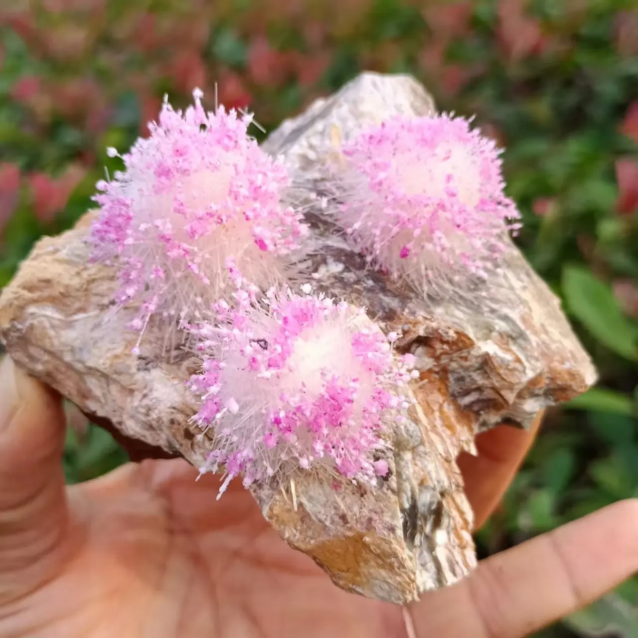 Natural Magnesite Symbiotic Pink Needle Crystal Cluster, Quartz Crystal ...