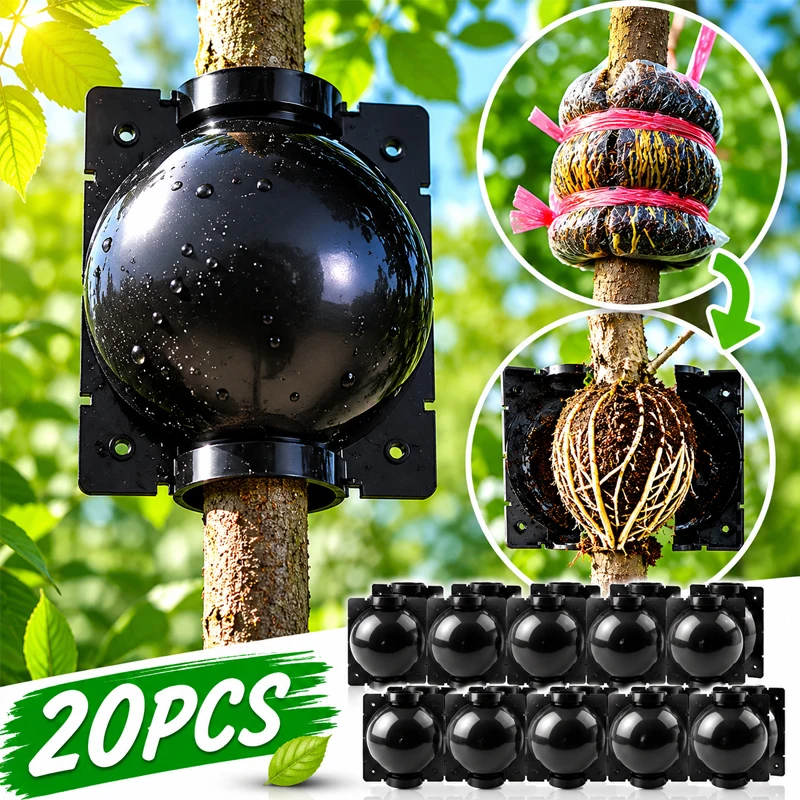 20Pcs Reusable Plant Root Growing Box Garden Orchard Cuttings Grafting Rooting Propagation Pots Breeding Equipment for Sapling