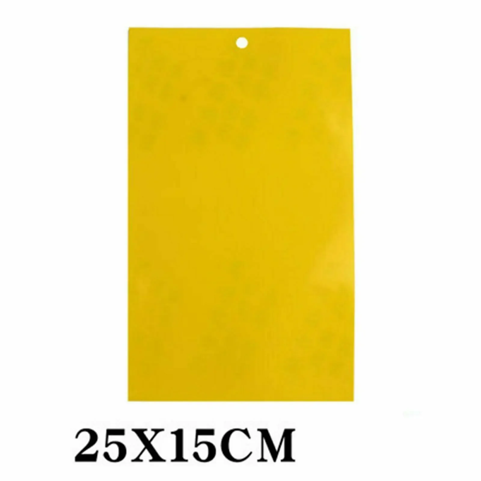 25 X 15