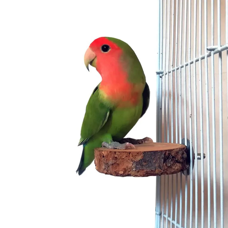 Bird Cage Perches Bird Climbing Toys Natural Wood Pet Parrot Raw Wood Fork Tree Branch Stand Rack Squirrel Bird Hamster Branch Perches Chew Bite Toys Stick