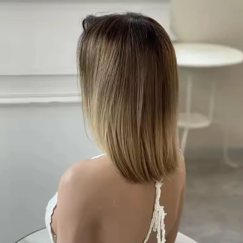 Synthetic Wig Highlighter Color straight clear lace front High Density Pre plucked For Women Daily Party Use Natural