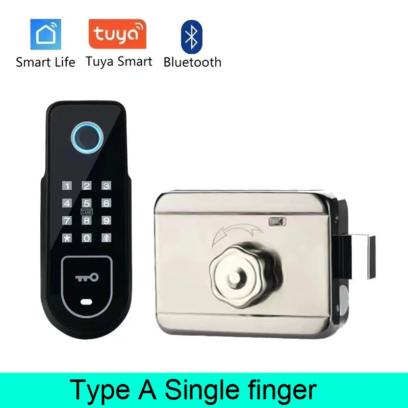 Type 1