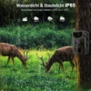 20MP 1080P Hunting Trail Camera Wildlife Tracking Surveillance HC804A Infrared Night Vision Wild Cameras Photo Traps 2