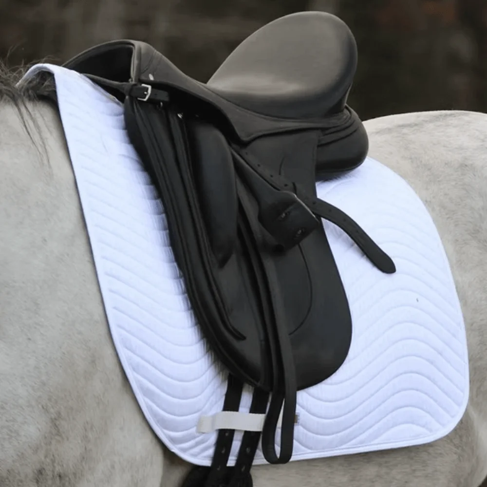 Horse saddle pad, equestrian riding equipment,
