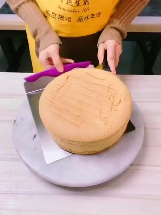 RVS Cake Pizza Transfer Tray Bewegende Plaat Cake Lifter Schop Gebak Bakgereedschap, Ideaal voor Familie en Vrienden, Gemakkelijk over Te Dragen voor Cake Maker, Banketbakker