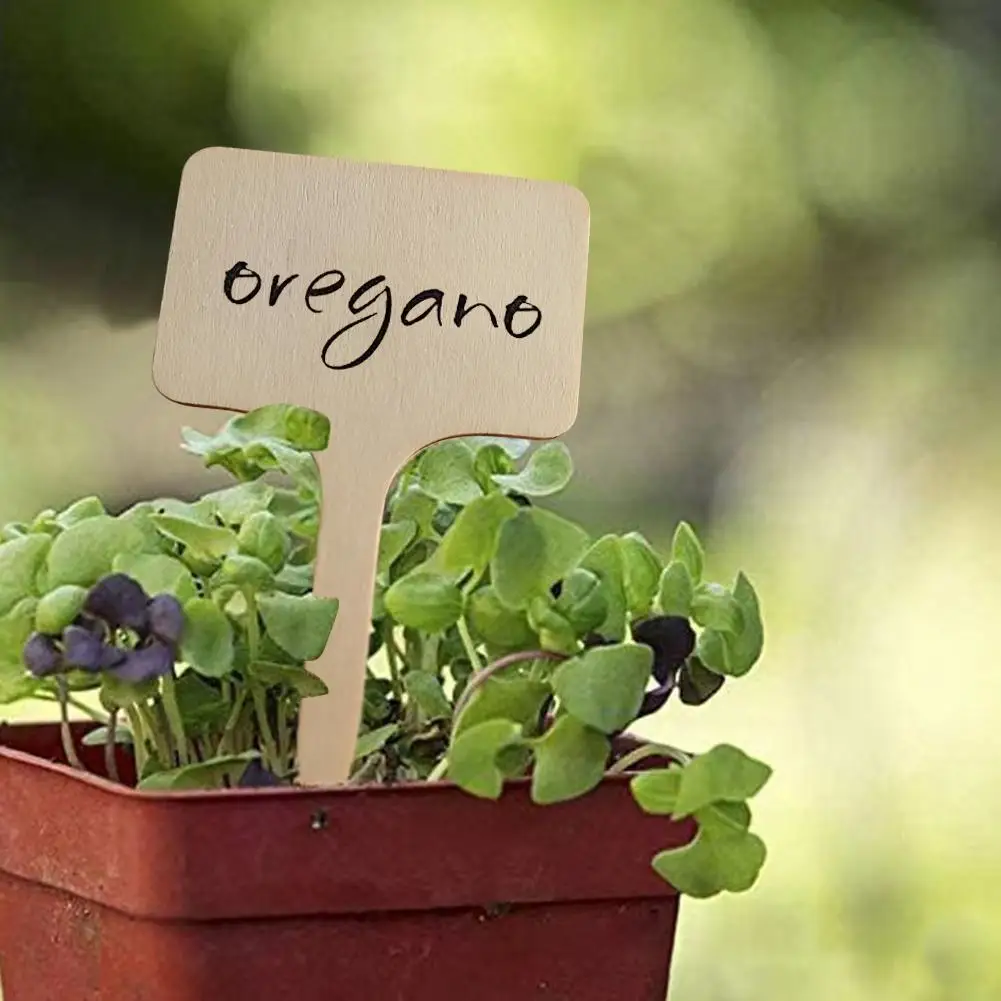 Plant Label Brand Creative Gardening Business Card Flower Pot Flower Name Label Signboard Plant Waterproof Board Insertion plant tags