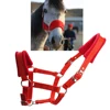 Horse Halter Bridle Rein Detachable Head Collar Strap Stable Protective 4