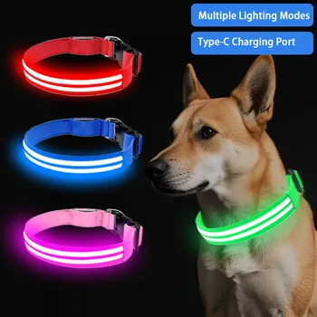 LED Dog Safety Collar 1