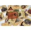 The Earthbound Oracle Deck The Seeker'S Lenormand Full Deck Divination Completed Wooden Tarot 48 Card Oracle Deck 2
