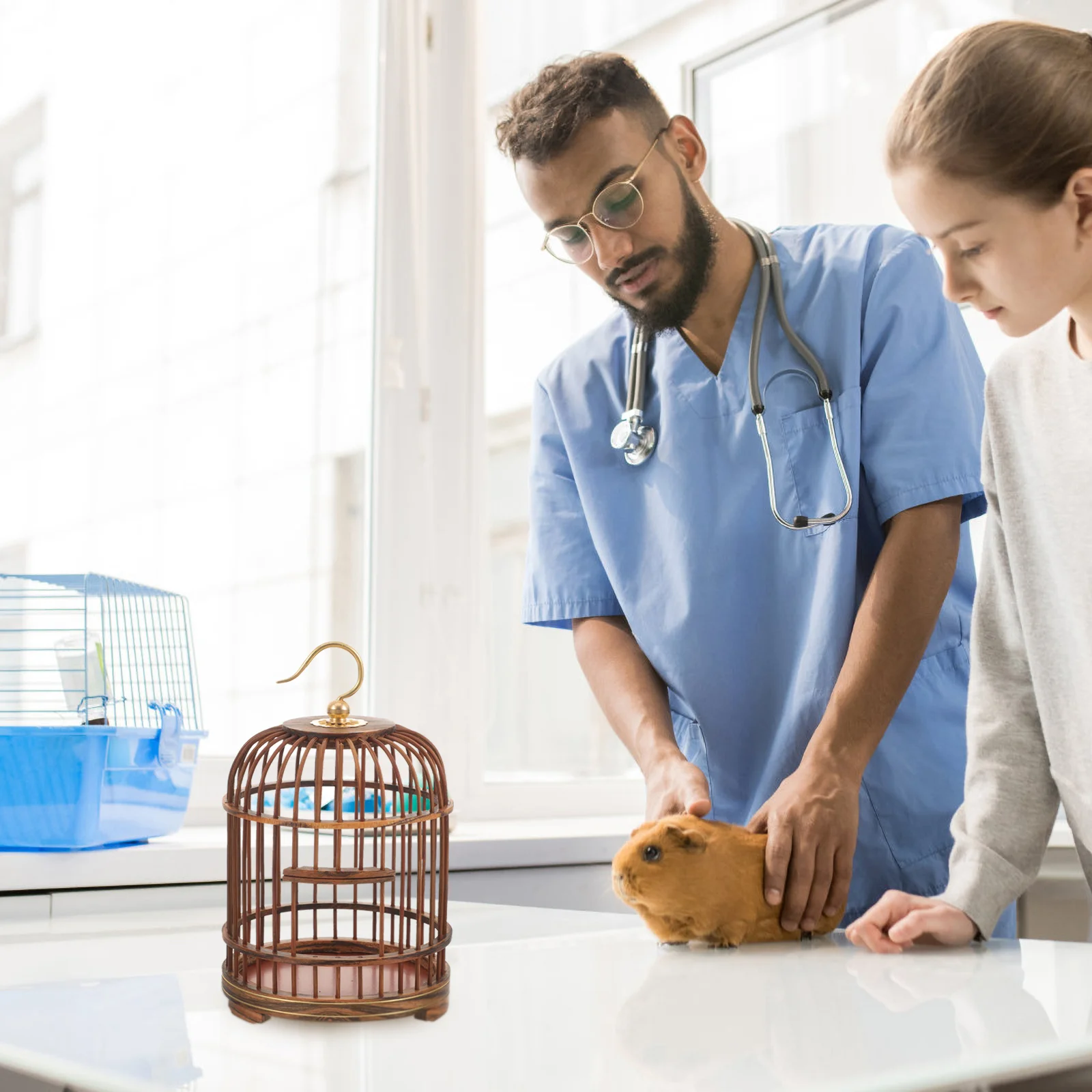

Hanging Bird Cage Bird Cage Decoration Hanging Bird Cage Hanging Cage for Bird Small Animal Cage