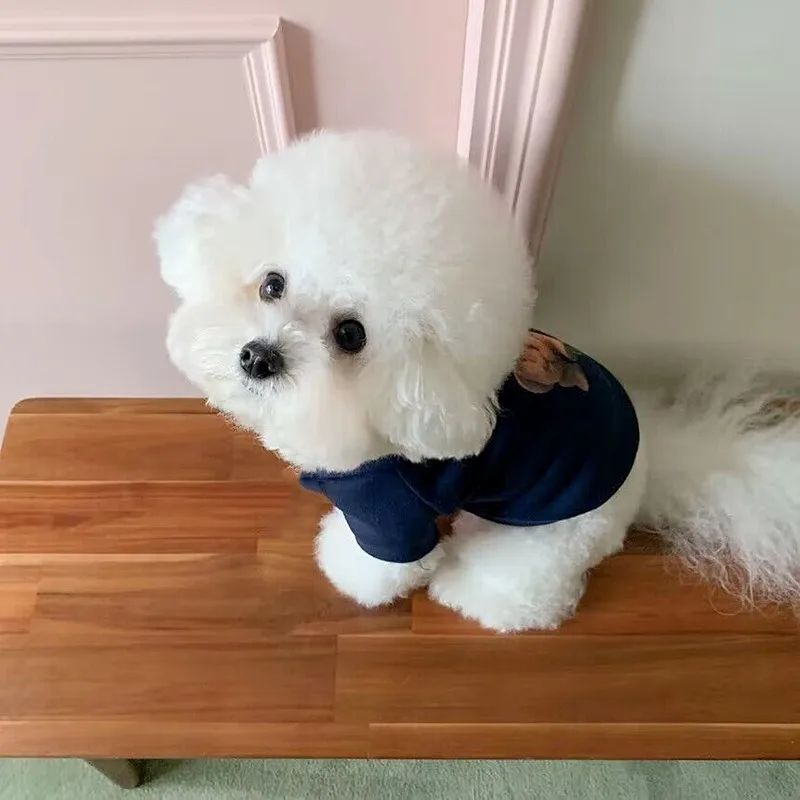 Pet Clothes Cute Cartoon Bear Dog Hoodies Winter Pet Dog Clothes for Small Medium Dogs Costumes Yorkshire Terrier Puppy Costume Cat