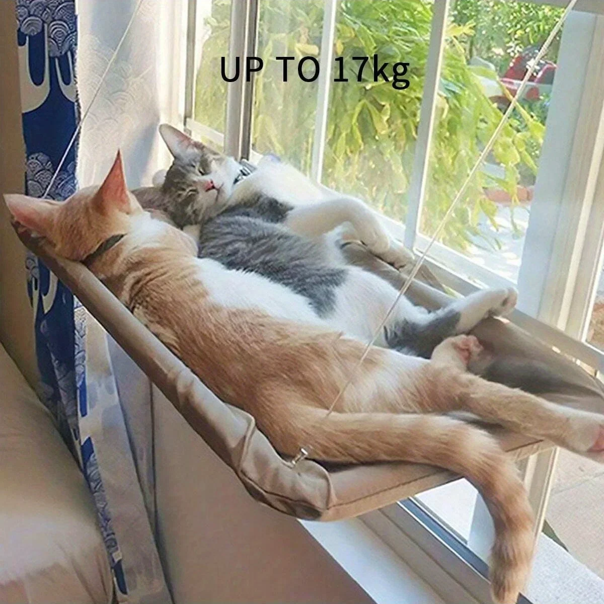 1pc-Pet Cat Hammock Suspended Cat Bed Cat Bed House Kitten Climbing Frame Clear Window Seat Pet Accessory