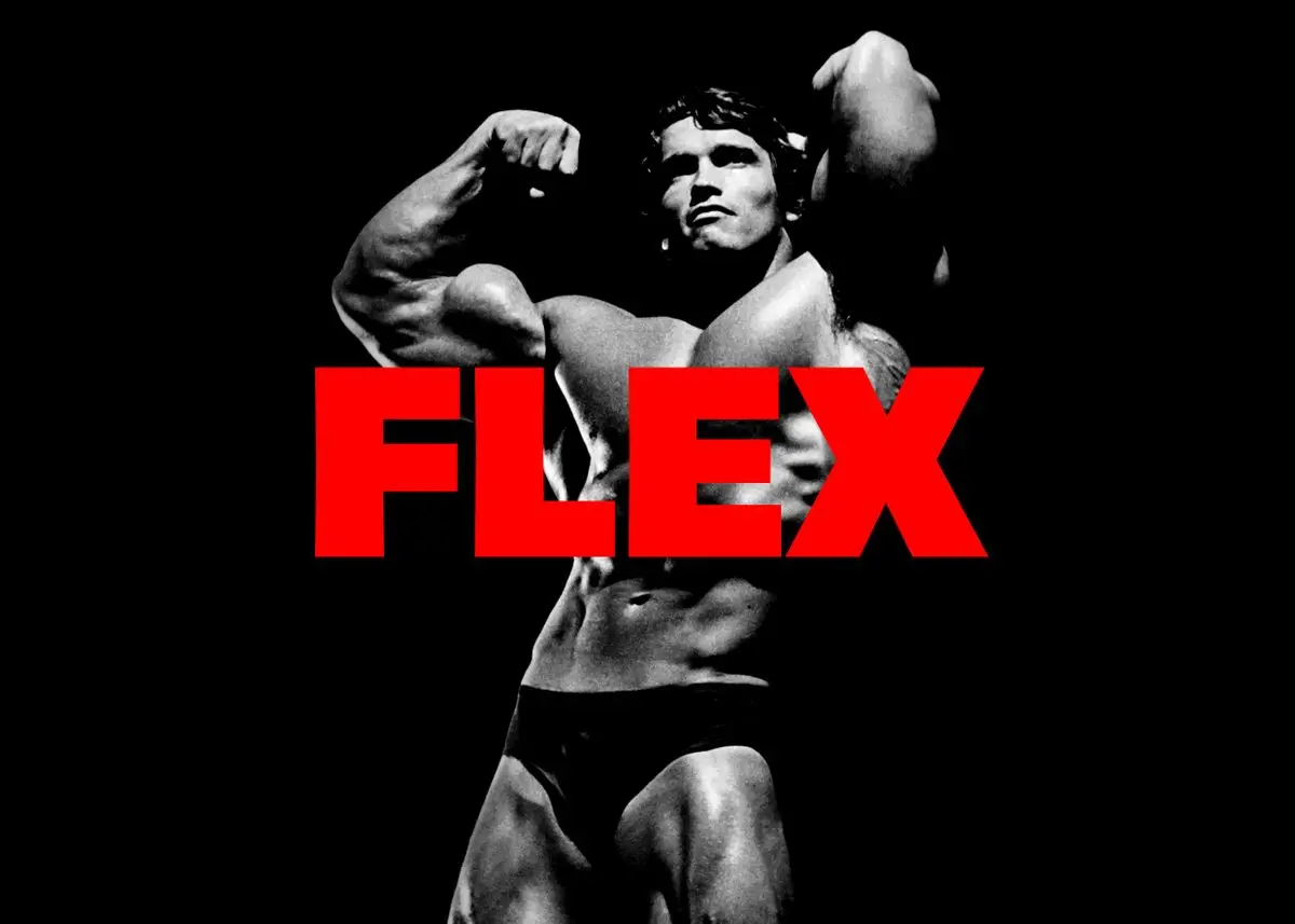 Arnold Schwarzenegger Bodybuilding CONQUER Motivational Quote Art Canvas  Poster Print Wall Picture for Living Room Home Decor - AliExpress, image size:1200x857