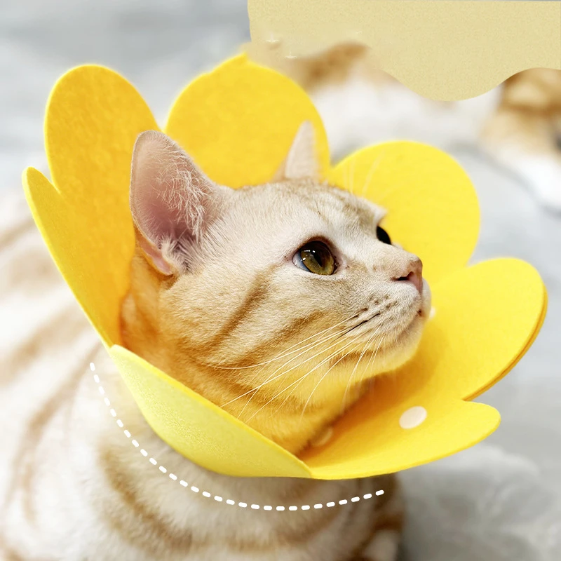 Adorable Flower-Shaped Adjustable Recovery Collar for Pets - Protective Anti-Bite Healing Aid