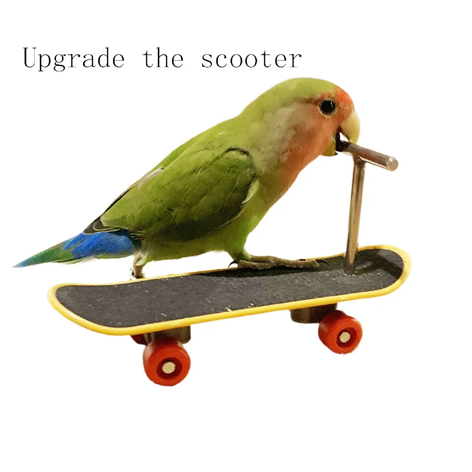 Parrot Scooter Training Mini Skateboard Stand Perch for Bird Supplies Pet Intelligence Foot-talon Toys