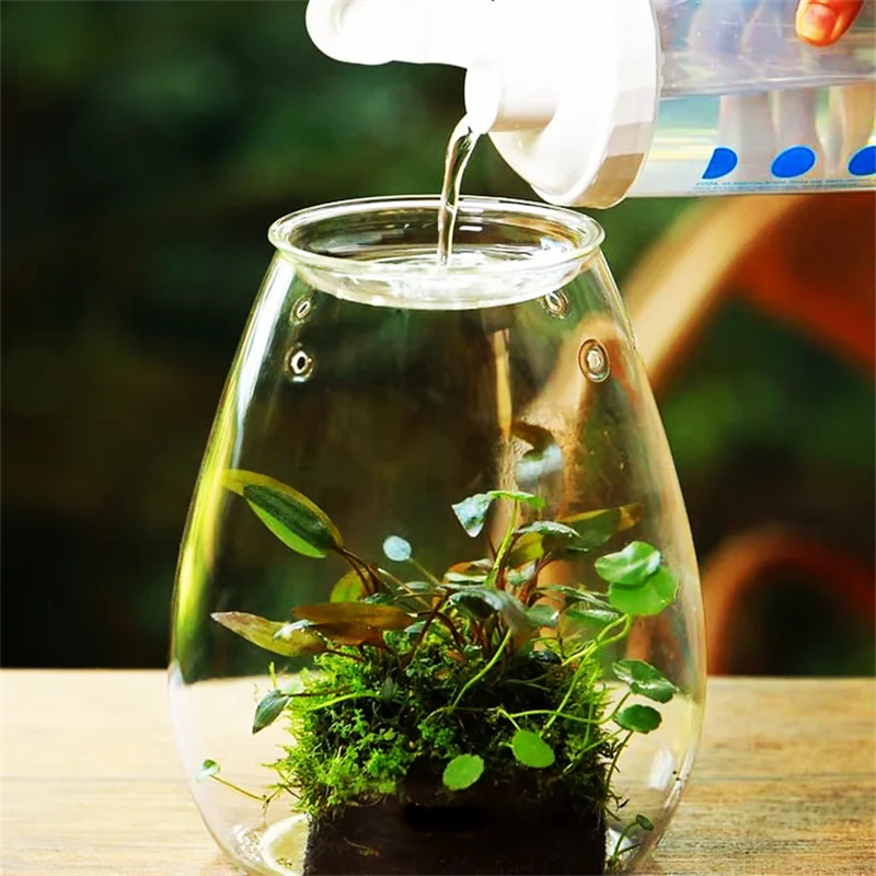 Micro Landscape Glass Bottles With Cover Fresh Green Succulent Moss Bottle Glass Vase Glass Terrarium Bonsai Home Desktop Decor 4