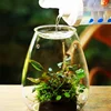 Micro Landscape Glass Bottles With Cover Fresh Green Succulent Moss Bottle Glass Vase Glass Terrarium Bonsai Home Desktop Decor 4