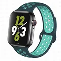 Pine-Aurora green 39