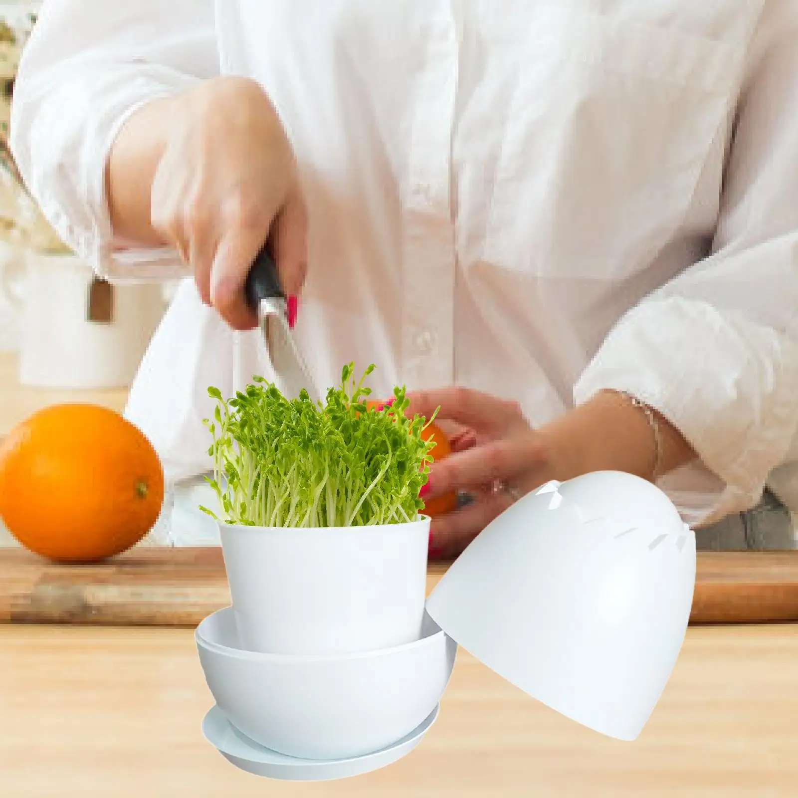 뚜껑이 달린 발아 용기 콩나물, 발아 냄비, 콩나물 재배기, 실내 완두콩 재배 상자 