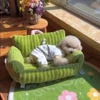 Washable Dog Bed Sofa Kennel Dog Nest Comfortable Plush Puppy Bed Spring Summer Pet Supplies for Small Medium Dogs Cats 2