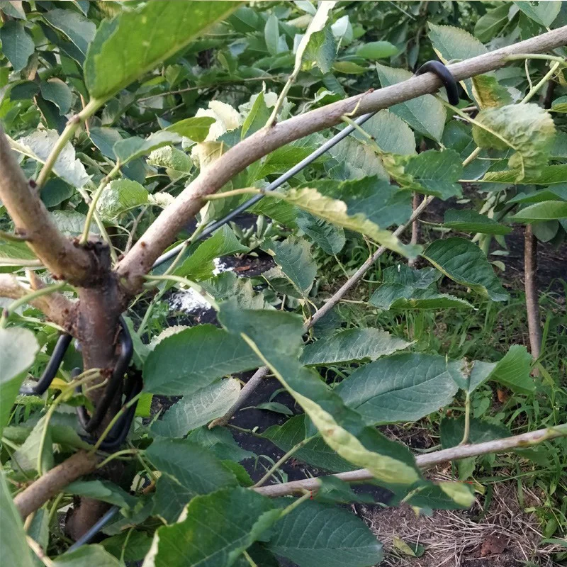 Fruit Tree Branches Holder Plant Support Fruit Branch Spreader Tree Branch Support Frame For Yard Branches Fixe tree branch fixator