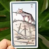 The Alchemical Tarot Renewed 6th Editiona 12*7cm 80-card Tarot Deck Links Between Alchemical Symbolism and Traditional Imagery 2