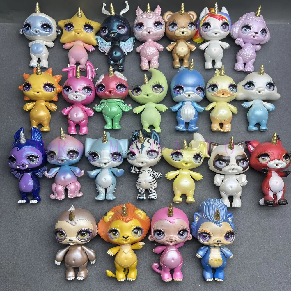 dsc-products