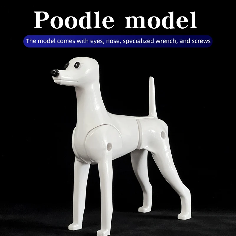 Dog Grooming Model Poodle dog pet professional beauty simulation wig model practice special skeleton environmentally friendly PE material