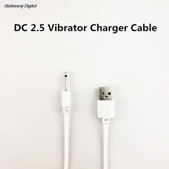 1m Universal Rechargeable USB DC 2.5 Vibrator Charger Cable Cord for Adult Toys Vibrators Massagers Accessories USB Power Supply