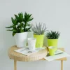 Automatic Watering Flower Pot Nursery Growing Container Visible Water Level Pots with Drainage Hole Gardening Planting Tool 2