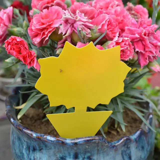 20Db Ragacsos Csapdák Otthoni Üvegházhatású Ragadós Tábla Többszörös Repülő Rovarok Fogás Vezérlő Matrica Pot Rovar Kártevőirtó Ragasztó - Image 4