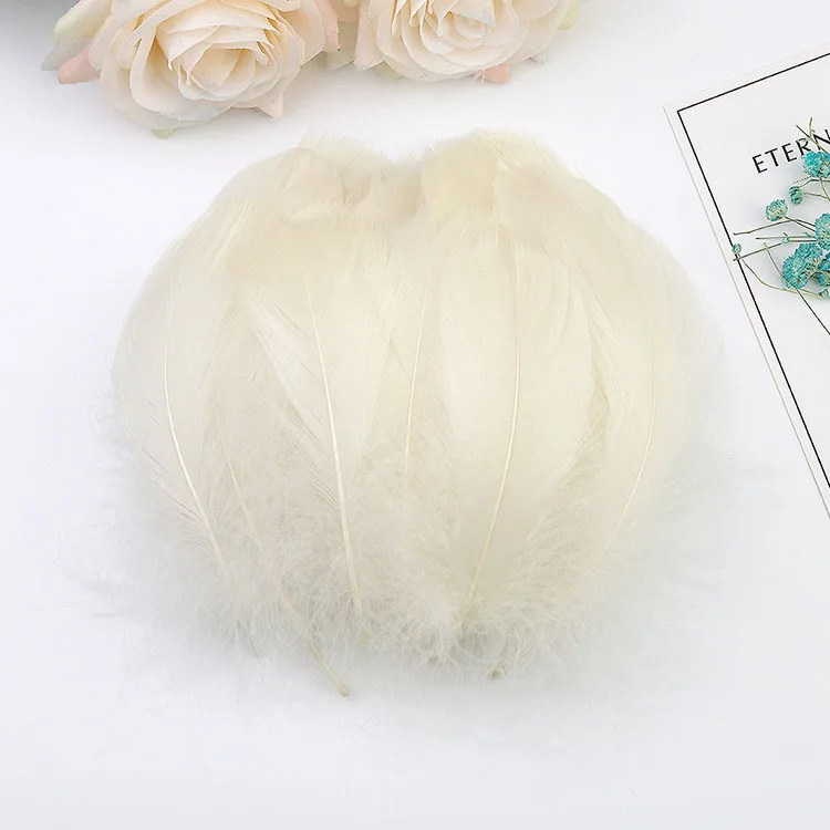 100 Plumes Naturelles Colorées - DIY, Déco, Création, Mariage